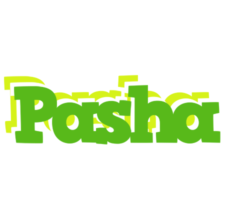Pasha picnic logo