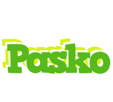 Pasko picnic logo