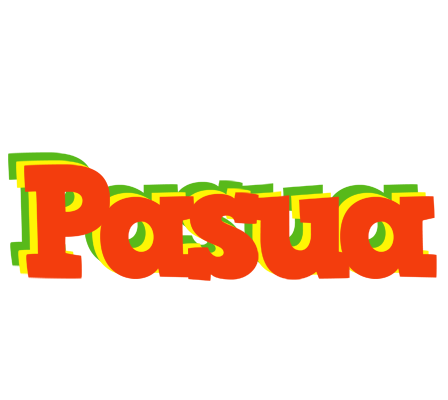 Pasua bbq logo