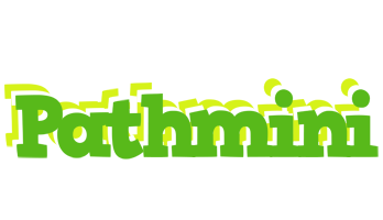 Pathmini picnic logo