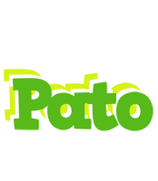 Pato picnic logo