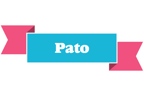 Pato today logo