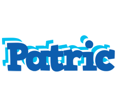 Patric business logo