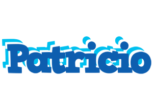 Patricio business logo