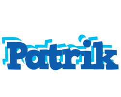 Patrik business logo