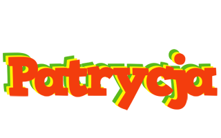 Patrycja bbq logo