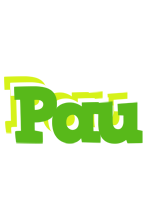 Pau picnic logo