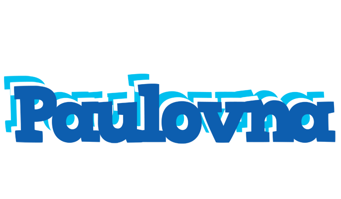 Paulovna business logo