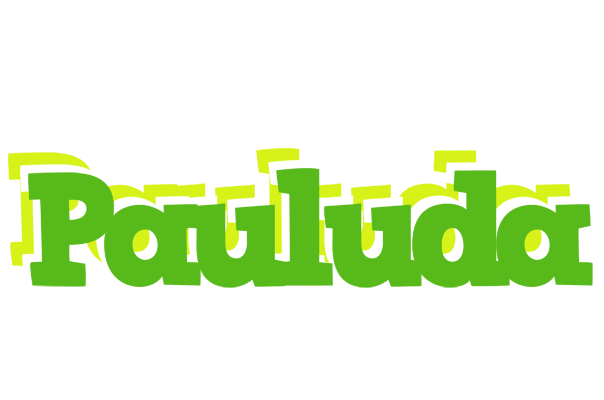 Pauluda picnic logo