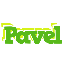 Pavel picnic logo