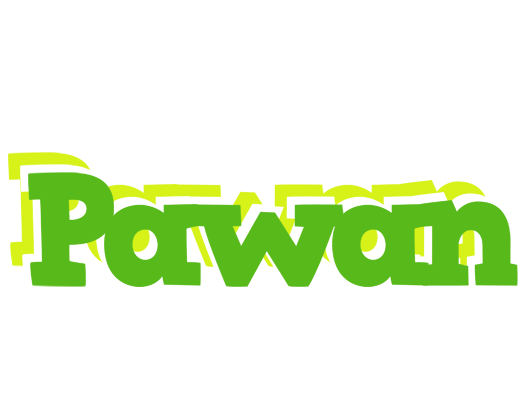 Pawan picnic logo