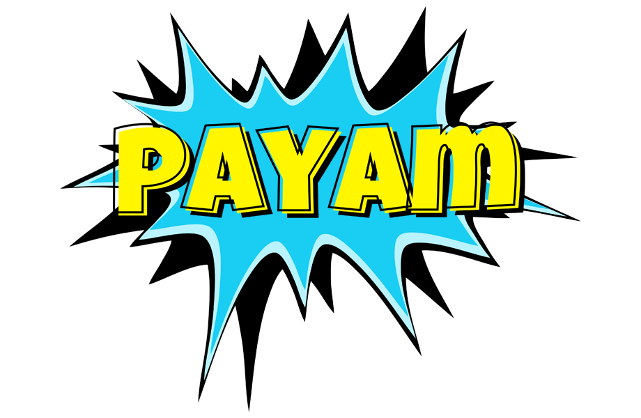 Payam amazing logo