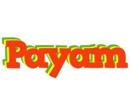 Payam bbq logo