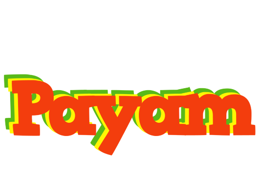 Payam bbq logo