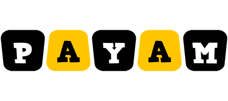 Payam boots logo