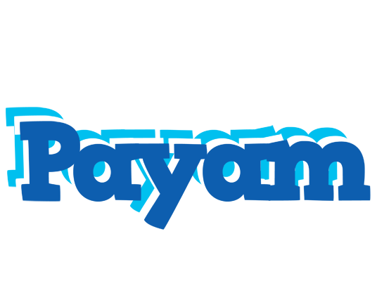 Payam business logo