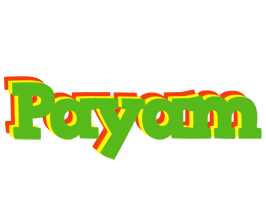 Payam crocodile logo