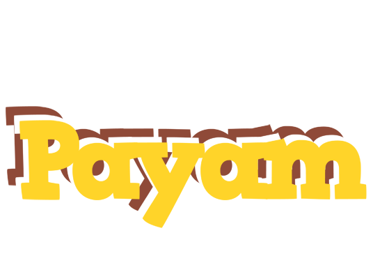 Payam hotcup logo