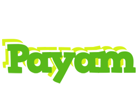 Payam picnic logo