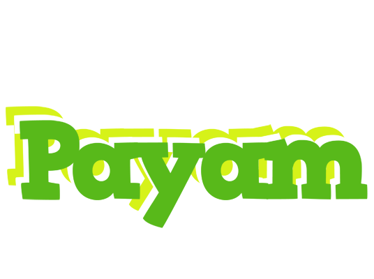 Payam picnic logo
