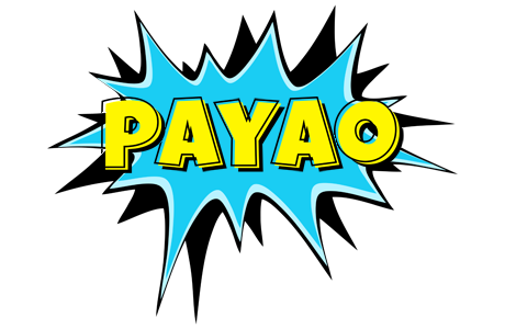 Payao amazing logo