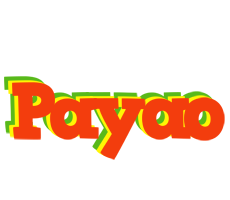 Payao bbq logo