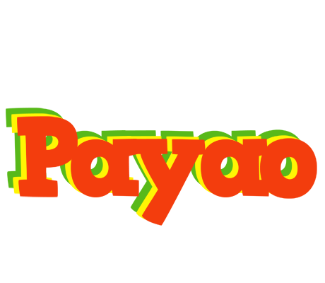 Payao bbq logo