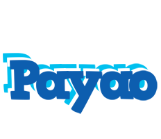 Payao business logo