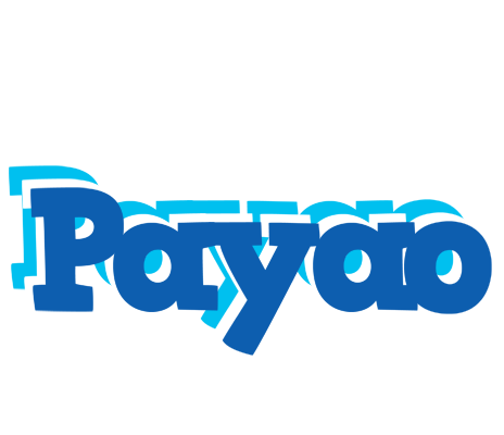 Payao business logo