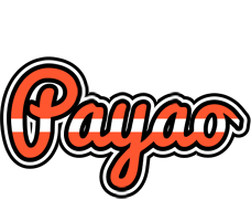 Payao denmark logo