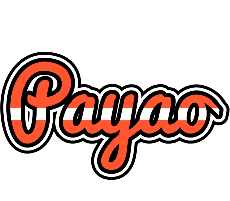 Payao denmark logo