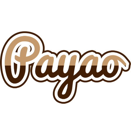 Payao exclusive logo