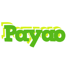 Payao picnic logo