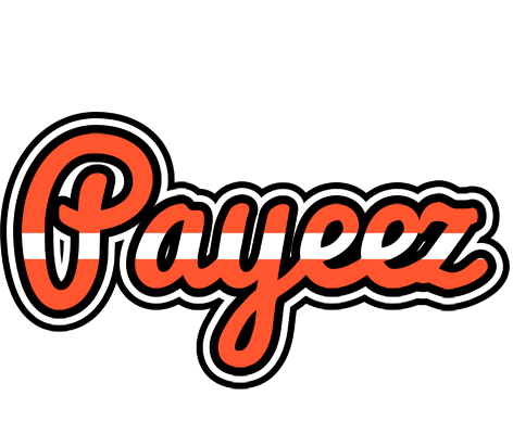 Payeez denmark logo
