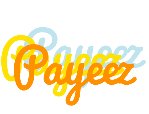 Payeez energy logo