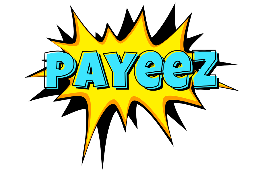 Payeez indycar logo