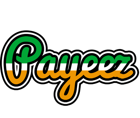 Payeez ireland logo