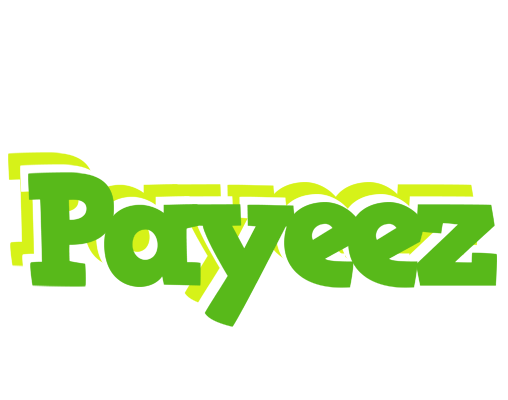 Payeez picnic logo