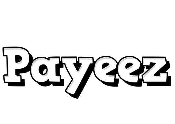 Payeez snowing logo