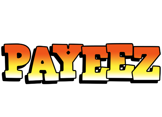 Payeez sunset logo