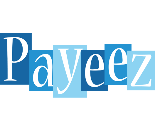 Payeez winter logo