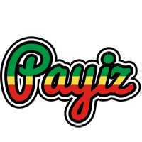 Payiz african logo