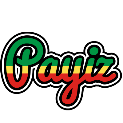 Payiz african logo