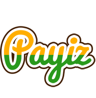 Payiz banana logo