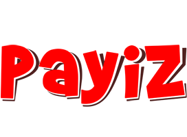 Payiz basket logo