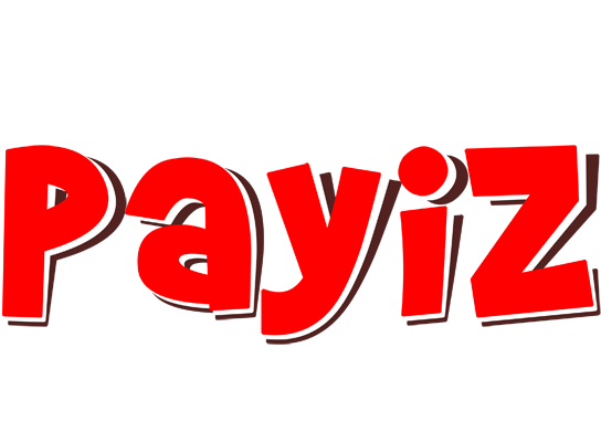 Payiz basket logo