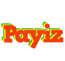 Payiz bbq logo