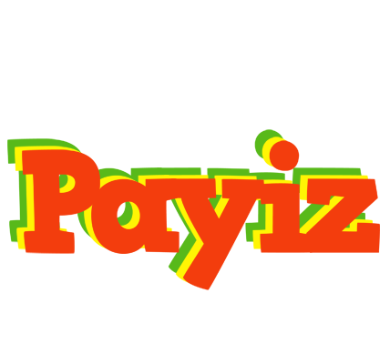 Payiz bbq logo