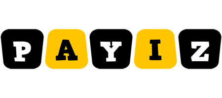 Payiz boots logo