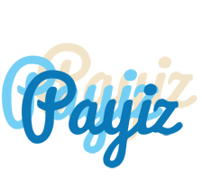 Payiz breeze logo